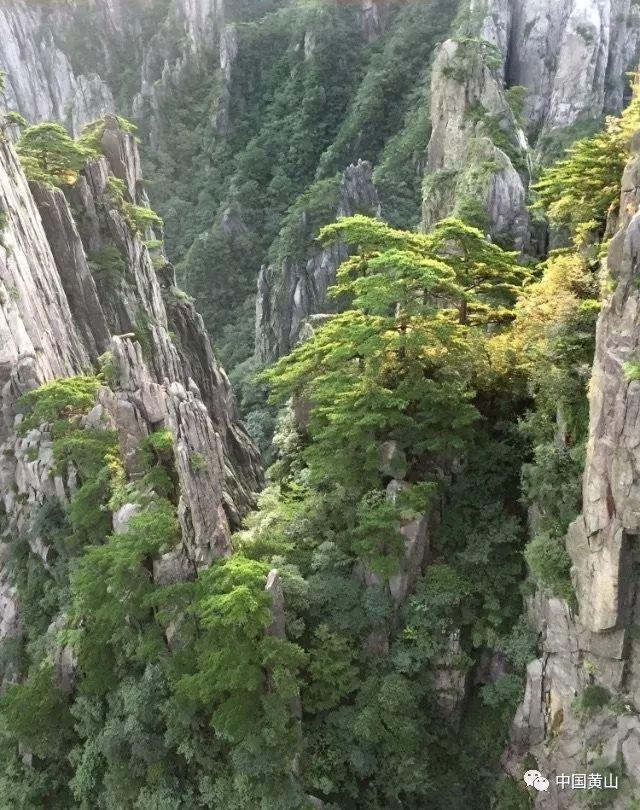 为什么命运总是让两个人有交集？游戏画面