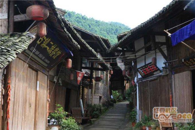 小猫钓鱼正版下载中文版